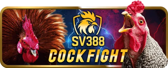 Hướng dẫn tải ứng dụng 888casino Win trên Android